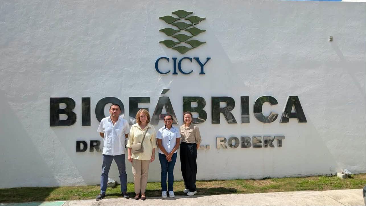 Imagen 1 de la publicación de Línea Abierta Yucatán: Parque Científico de Yucatán recibe a representantes de Rusia