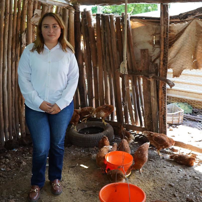 Imagen 4 de la publicación de Línea Abierta Yucatán: Respalda Gobierno del Renacimiento Maya economía de las familias con huertos y aves de traspatio