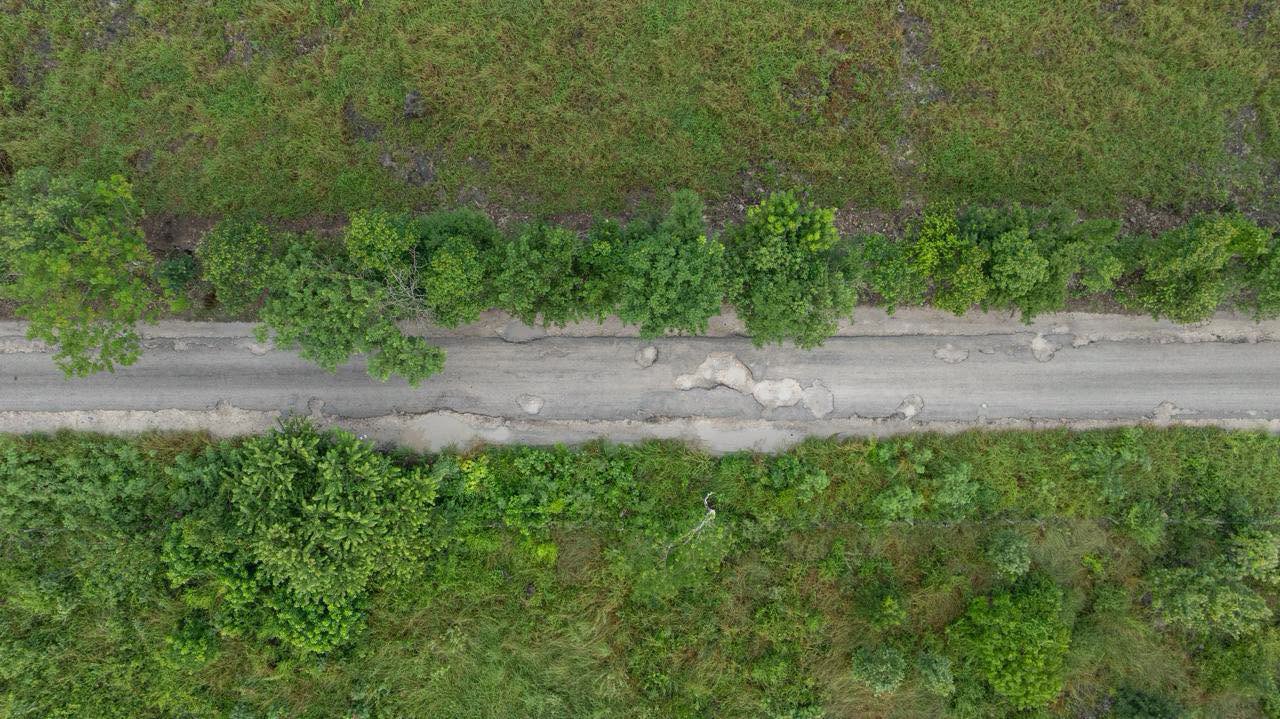 Imagen 1 de la publicación de Línea Abierta Yucatán: Llevaban 30 años pidiendo su camino; el Gobernador adelantó la obra casi tres semanas: arranca la reconstrucción Tixcancal–Chan Cenote–Trascorral, con 9 millones de pesos para 5,178 habitantes