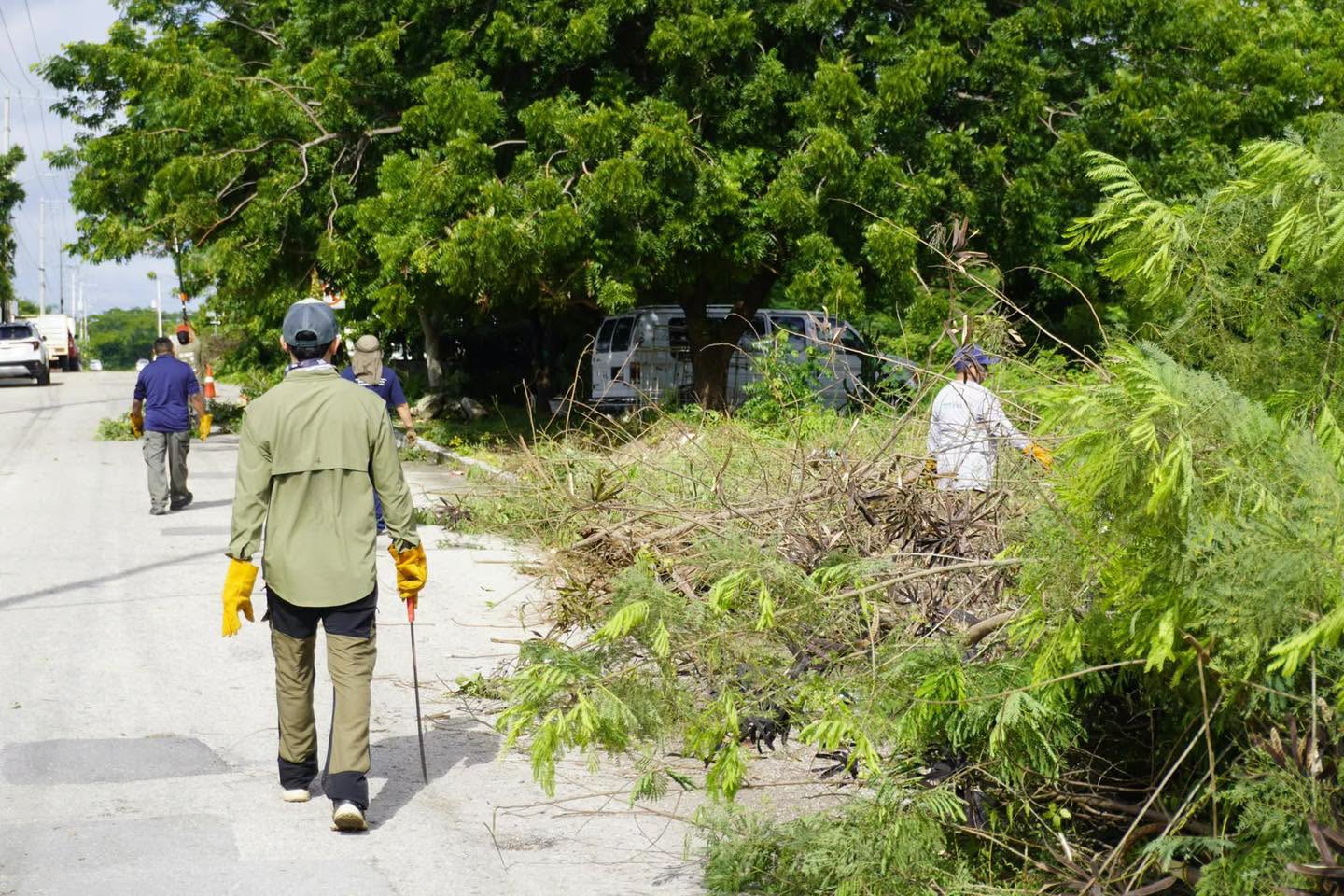 Imagen 1 de la publicación de Línea Abierta Yucatán: UMABA inicia limpieza de terreno cercano a Animaya en Ciudad Caucel