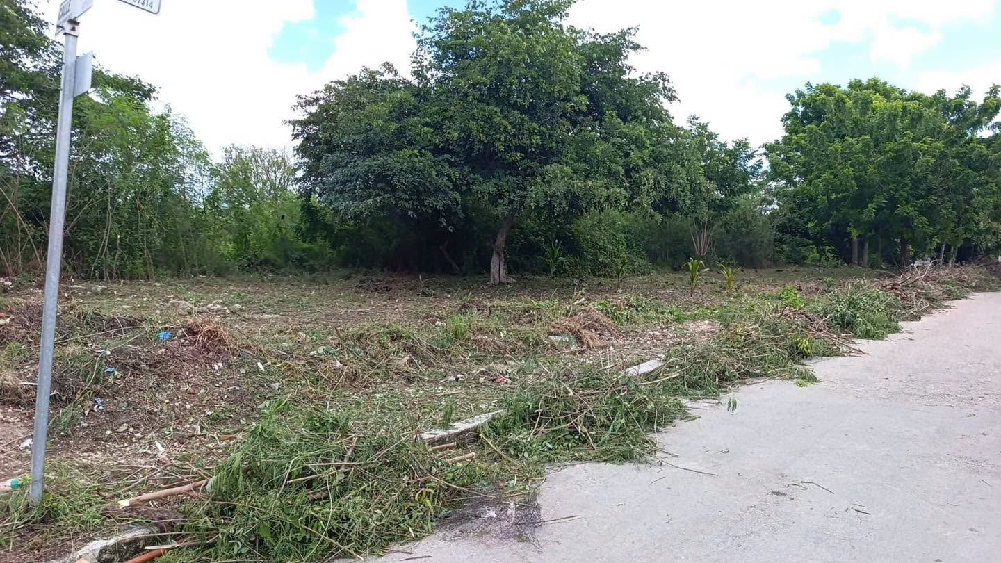 Imagen 3 de la publicación de Línea Abierta Yucatán: UMABA inicia limpieza de terreno cercano a Animaya en Ciudad Caucel