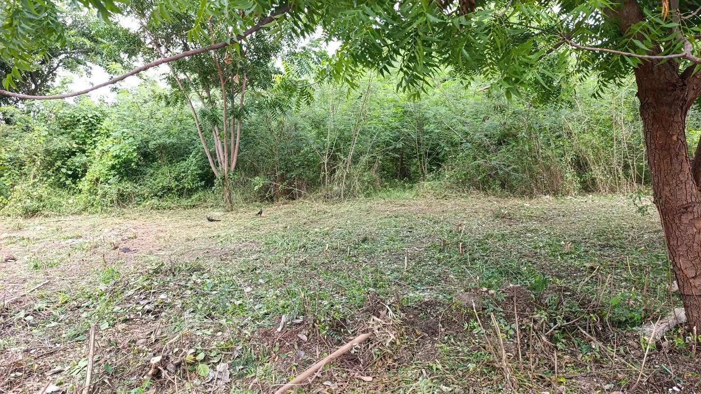 Imagen 4 de la publicación de Línea Abierta Yucatán: UMABA inicia limpieza de terreno cercano a Animaya en Ciudad Caucel